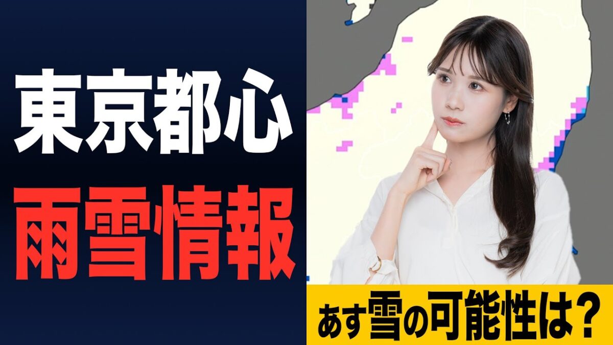 YouTubeファサードテスト